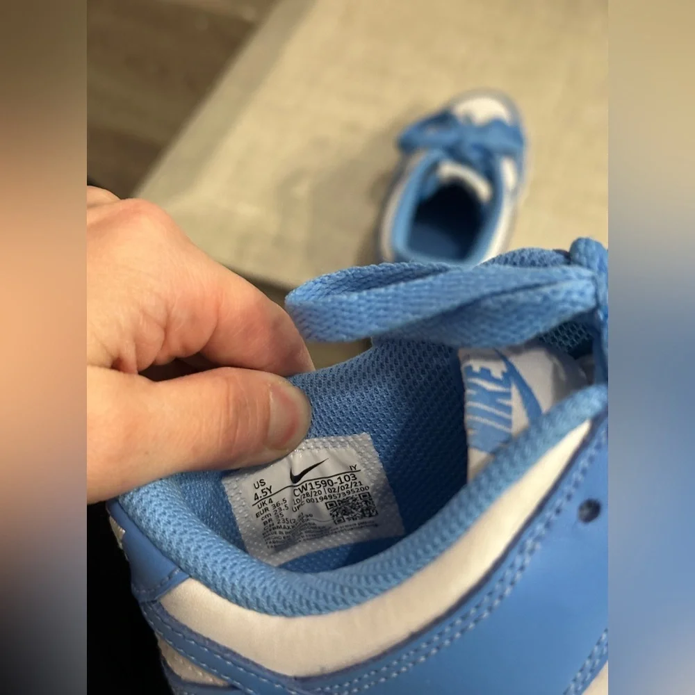 Nike dunk lows in university blue